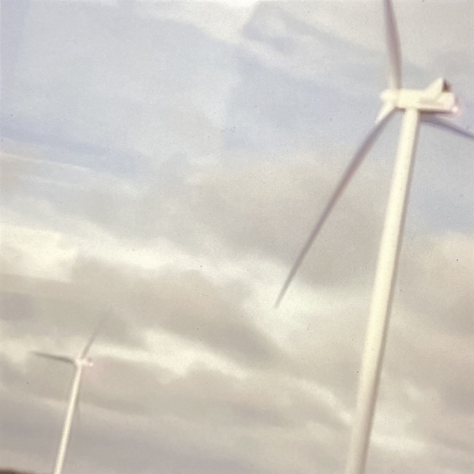 United In Flames cover artwork: United In Flames w Lokey and Malibu (2021-01-27)