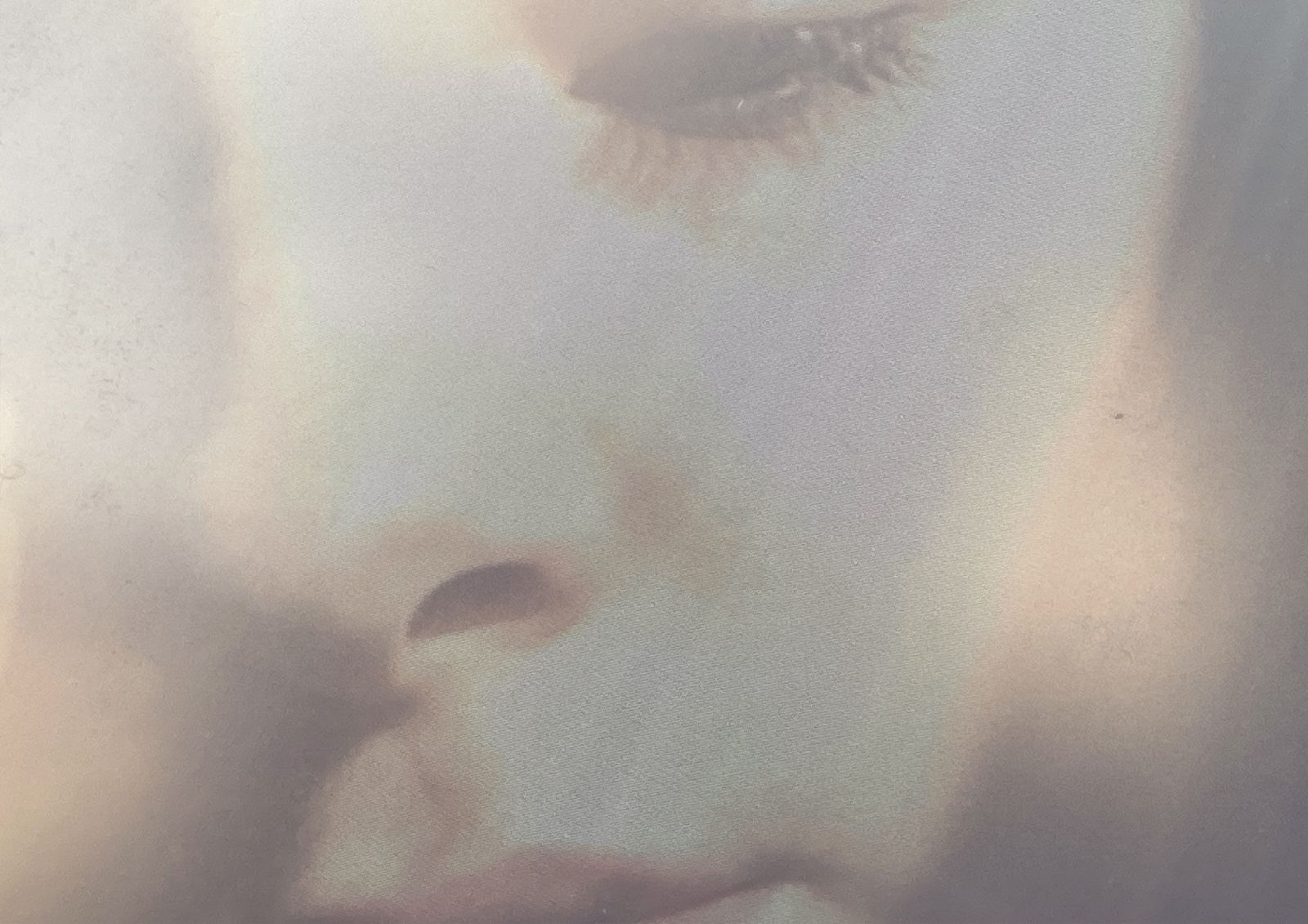 United In Flames cover artwork: United In Flames w Anima and Malibu (2021-12-01)