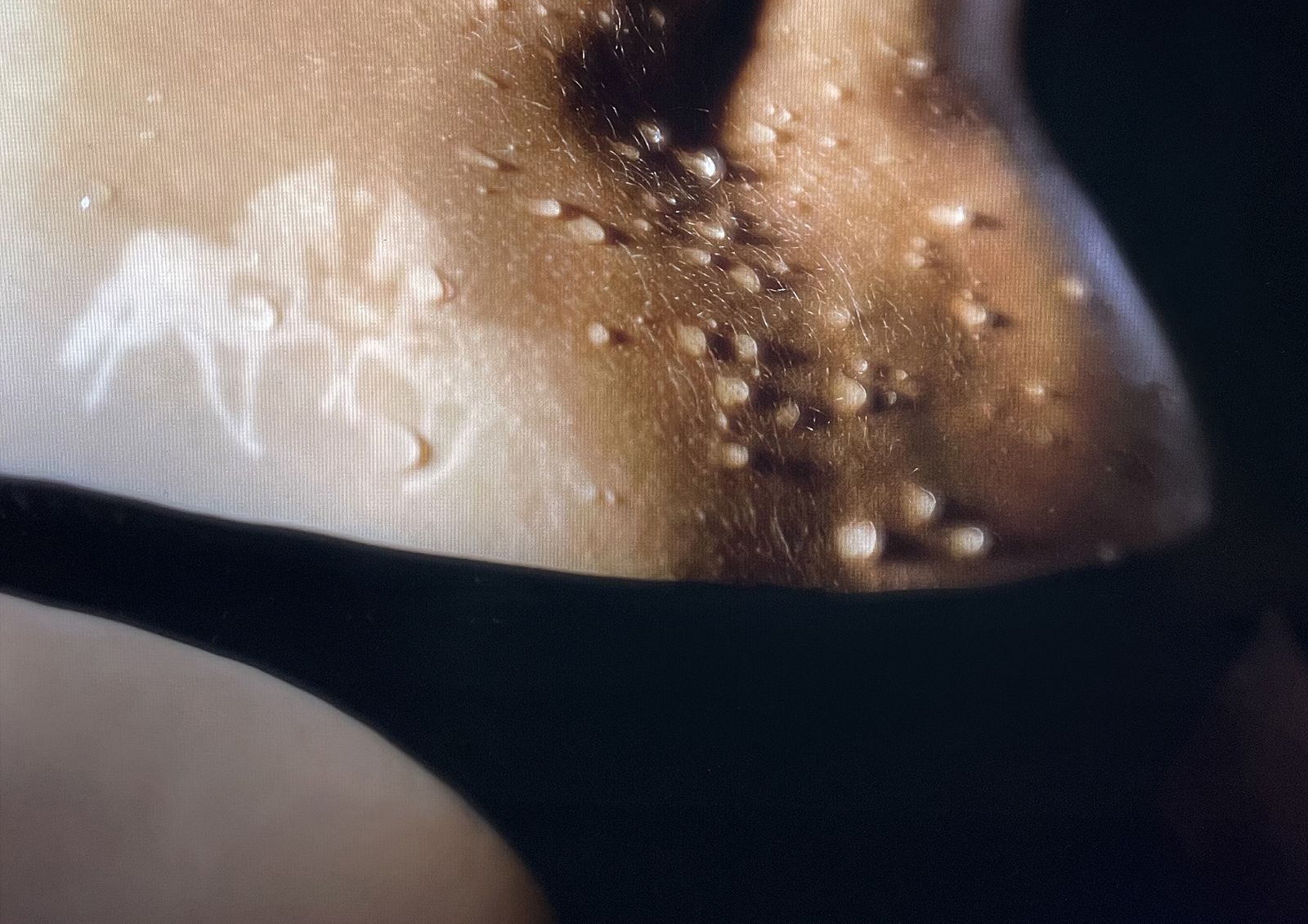 United In Flames cover artwork: United in Flames w ESP and Malibu (2022-07-12)