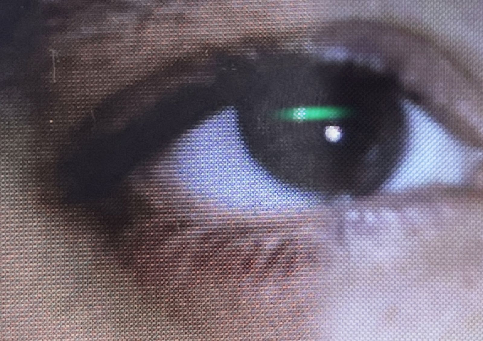 United In Flames cover artwork: United In Flames w Torus and Malibu (2024-11-01)